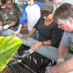 class in the LA building’s greenhouse