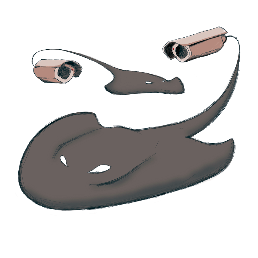 stingray with camera tail comic