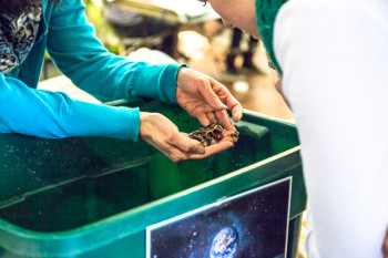 showcasing the benefits of composting