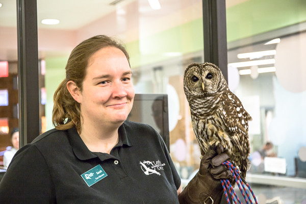 Sarah Gilmore shows a Barred Owl