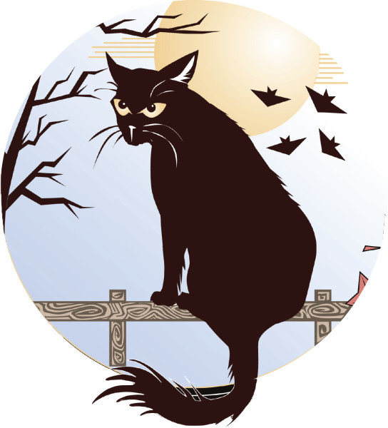 black cat sitting on a fence