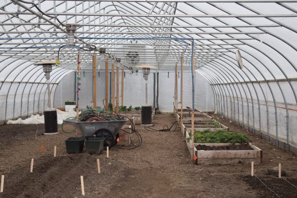 This fall and winter, the CORE Garden grew spinach, lettuces, kale, beets and collard greens in the hoop; the CORE Garden has welcomed 175 students to date. “CORE stands for Campus Orchard Rejuvenating Energy,” according to their website