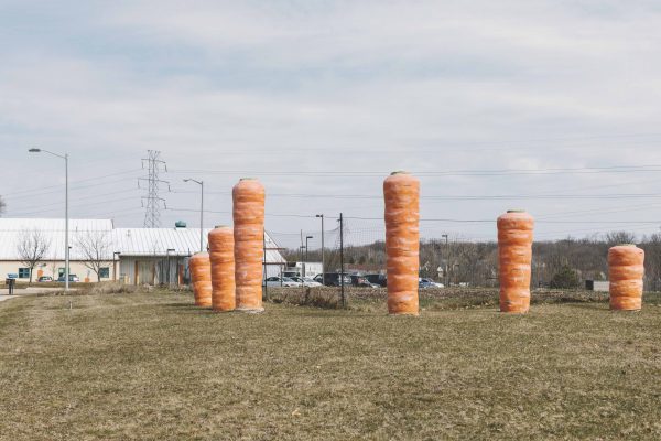 The entrance to Food Gatherers is decorated with giant carrots. They are located at 1 Carrot Way, Ann Arbor.
