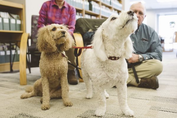 Therapaws, a canine-assisted therapy program, visited the Bailey Library to spend time with WCC students, faculty and staff and provide companionship while volunteers made fleece blankets for the Humane Society of Huron Valley.Photo by Sara Faraj