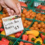 Delicious fresh produce available at the St. Joe's Farmers Market