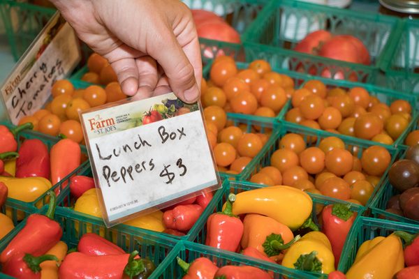 Delicious fresh produce available at the St. Joe's Farmers Market