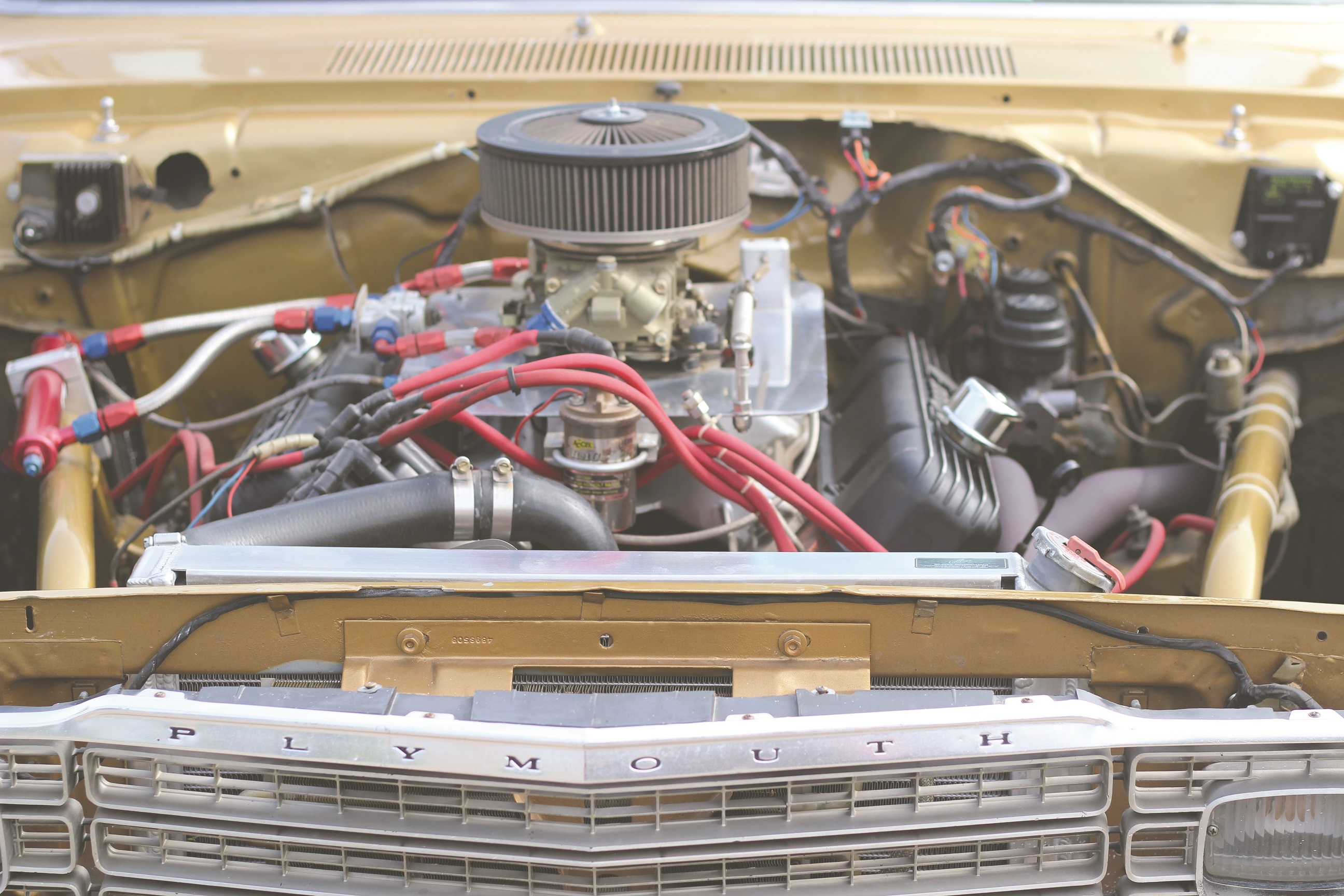 Participants show off their cars. Catherine Engstrom-Hadley | Washtenaw Voice