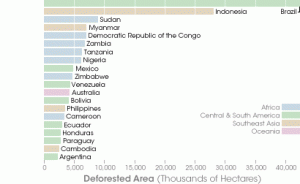 Forest cover area change between 1990 and 2005.