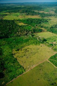 Deforestation of the Gran Chaco, Paraquay.