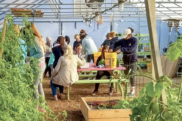 The hoop house grows chamomile, basil, lavender, dahlias, sunflowers, asparagus and more. Rachel Duckett | Contributor 