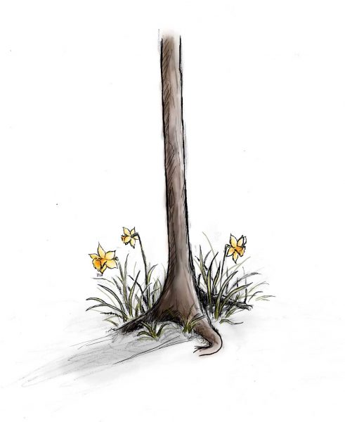 Illustration by Snow Pederson