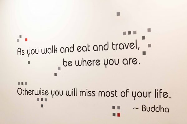 A quote in the Crane Liberal Arts and Science building. Lilly Kujawski | Washtenaw Voice