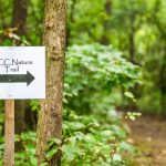 Enjoy some fresh air with a hike through the WCC nature trail.