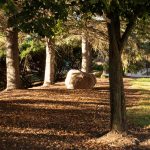 The nature area behind Gunder Myran is a hidden gem and is highlighted during sunset. Danny Villalobos | Washtenaw Voice