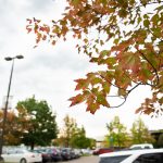 As temperatures drop, trees around campus change color indicating the beginning of Fall. Lily Merritt | Washtenaw Voice