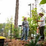 Emily Thompson and Theodore Bohdanowycz strategize about the placement of the new plants. Lily Merritt | Washtenaw Voice