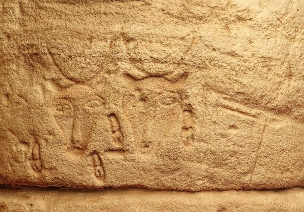 Kelsey Museum of Archeology graffiti picture