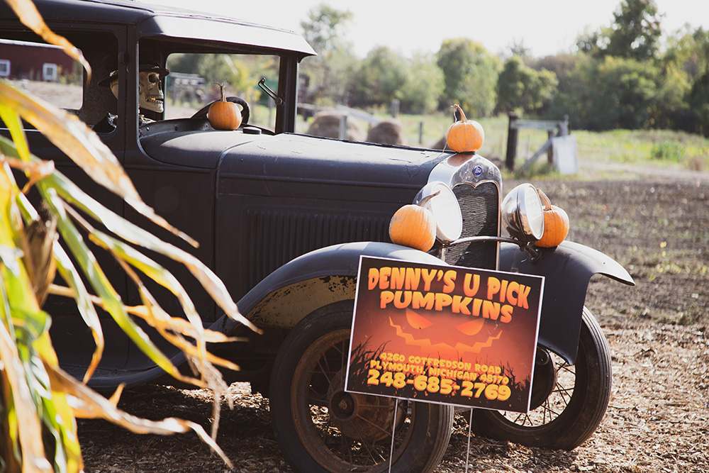 Cider mills and Halloween attractions are open, such as Denny's U-Pick Pumpkins. Shelby Beaty | Washtenaw Voice
