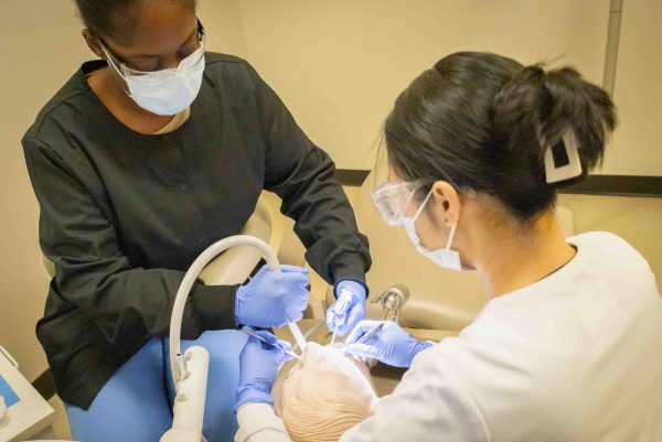Shabree England and Fan Zhang are pictured in scrubs from the waist up operating on a dental dummy patient.
