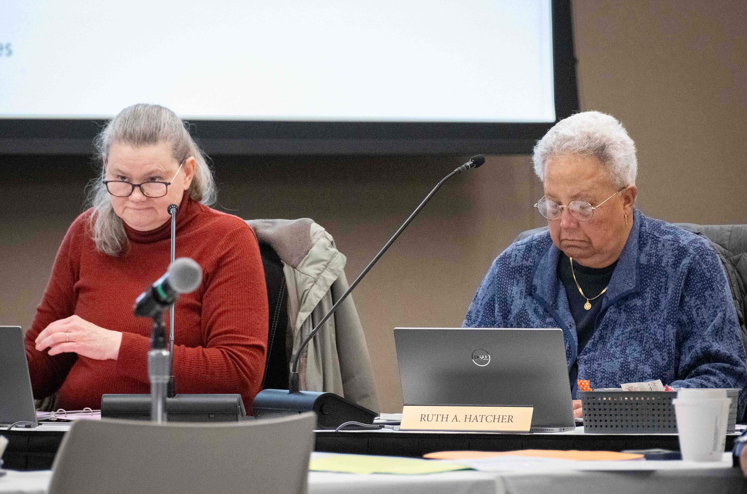 Eileen Peck and Ruth Hatcher sit next to each other at a table behind laptop screens.