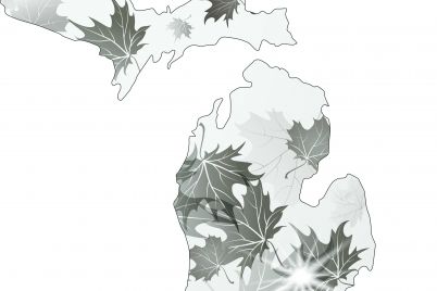 Michigan_GRAPHIC-WEB.jpg