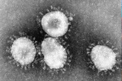 coronavirus.jpg
